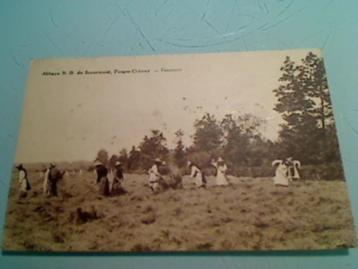 Très anciennes cartes postales abbaye Scourmont Chimay, Enlèvement ou Envoi, 1920 à 1940, Non affranchie, Hainaut