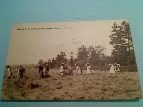 Très anciennes cartes postales abbaye Scourmont Chimay, Collections, Cartes postales | Belgique, Non affranchie, Hainaut, 1920 à 1940