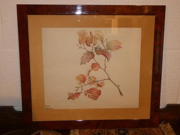 aquarel en tekening "takje".gesigneerd : Eliot Hodgkin, Antiek en Kunst, Kunst | Tekeningen en Fotografie, Ophalen of Verzenden
