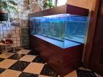 Aquarium complet avec meuble, Dieren en Toebehoren, Vissen | Aquaria en Toebehoren, Ophalen, Gebruikt, Gevuld zoetwateraquarium