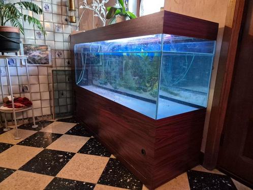 Aquarium complet avec meuble, Dieren en Toebehoren, Vissen | Aquaria en Toebehoren, Gebruikt, Gevuld zoetwateraquarium, Ophalen