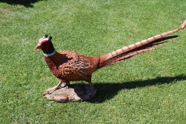 Standbeeld van een levensgrote fazant. nieuw!, Tuin en Terras, Tuinbeelden, Nieuw, Dierenbeeld, Kunststof, Ophalen