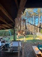 Geraamte voor anatomie, Diversen, Schoolbenodigdheden, Ophalen, Gebruikt