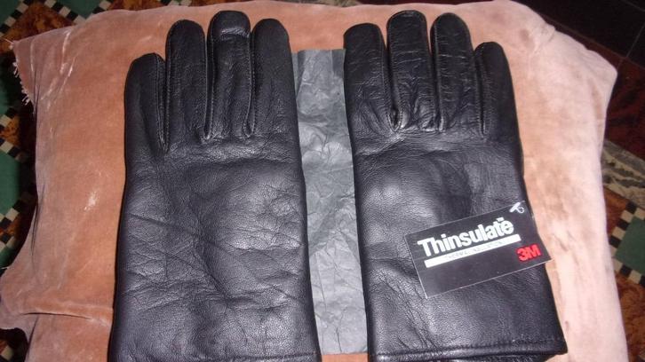 NIEUWE LEDEREN handschoenen, Motoren, Kleding | Motorkleding, Handschoenen, Dames, Heren, Nieuw met kaartje, Ophalen of Verzenden