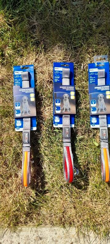 Nieuwe lichtgevende (LED) hondenriemen beschikbaar voor biedingen