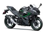 Kawasaki Ninja 500 SE 2024, Motos, Motos | Kawasaki, 12 à 35 kW, Super Sport, 2 cylindres, 500 cm³