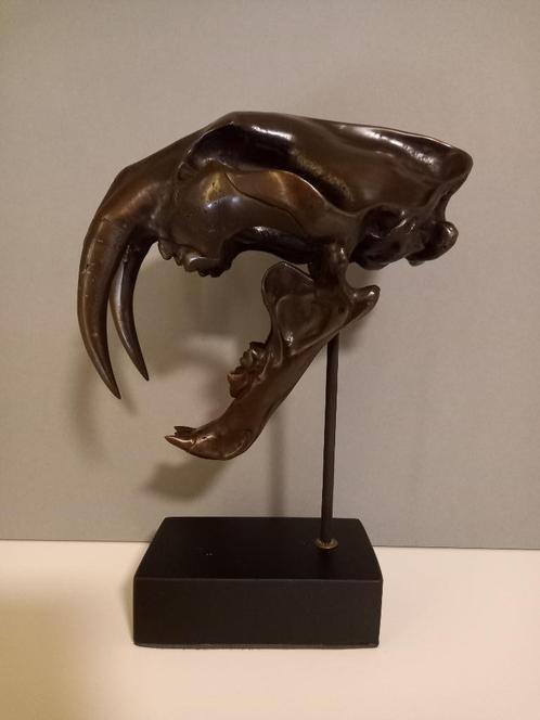 Bronzen schedel sabeltandtijger, Antiek en Kunst, Antiek | Brons en Koper, Brons, Ophalen of Verzenden
