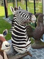 Taxidermie opgezette zebra hoofd, Antiquités & Art, Curiosités & Brocante, Enlèvement ou Envoi