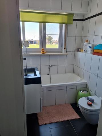 Groene rolgordijnen 150x195 en 210x200 beschikbaar voor biedingen