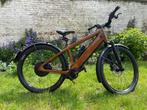 Stromer ST3 Pinion SPECIAL EDITION Ipanema Brown M Sport, Fietsen en Brommers, Ophalen, Zo goed als nieuw, 50 km per accu of meer