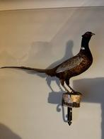 Opgezette fazant (taxidermie), Ophalen, Zo goed als nieuw