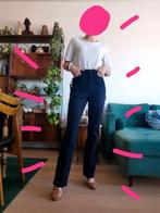 Gardeur nieuwe broek met label, Blauw, Nieuw, Ophalen of Verzenden, Maat 36 (S)