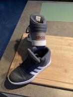 Hoge adidas maat 38, Kleding | Heren, Schoenen, Ophalen, Overige kleuren, Zo goed als nieuw, Adidas