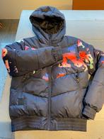 ski jas & broek van Ice Peak, Ophalen, Zo goed als nieuw, Ski, Kleding