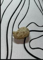 METEORITE TEKTITE, Verzamelen, Overige Verzamelen, Ophalen of Verzenden, Nieuw