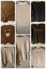 Shirt en truien medium, Ophalen of Verzenden, Gedragen, Maat 38/40 (M)