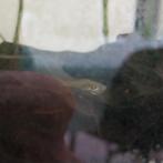 Babby guppen en slakken, Dieren en Toebehoren, Vissen | Aquariumvissen