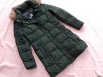 Maat L -- Tommy Hilfiger winterjas, Maat 38/40 (M), Tommy hilfiger, Ophalen of Verzenden, Zo goed als nieuw