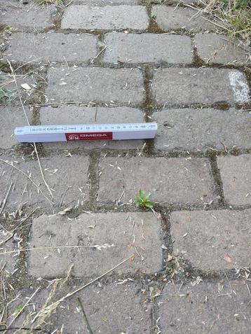 Rode klinkers beschikbaar voor biedingen