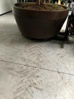 Luxe bloempot groot, Ophalen, Kunststof, 40 cm of meer, Rond