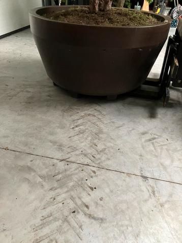 Luxe bloempot groot beschikbaar voor biedingen