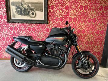 harley davidson xr1200x sportster 1200 xr met garantie beschikbaar voor biedingen