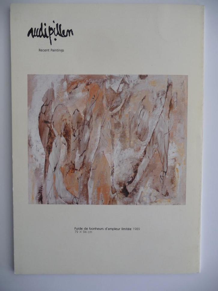 RUDI PILLEN - MOOI KUNSTBOEK, Boeken, Kunst en Cultuur | Beeldend, Zo goed als nieuw, Schilder- en Tekenkunst, Ophalen of Verzenden