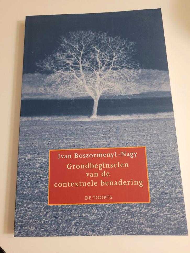 Grondbeginselen van de contextuele benadering, Boeken, Psychologie, Gelezen, Ontwikkelingspsychologie, Ophalen of Verzenden