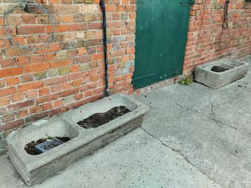 2 oude paarden bakken, Enlèvement