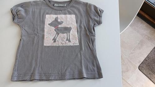 T-shirt- Maat 110, Kinderen en Baby's, Kinderkleding | Maat 110, Gebruikt, Jongen of Meisje, Shirt of Longsleeve, Ophalen of Verzenden