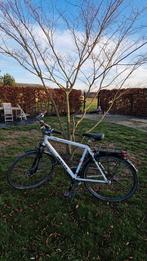 Norta jongensfiets, Fietsen en Brommers, Ophalen