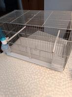 Kweekkooi voor kanaries, Dieren en Toebehoren