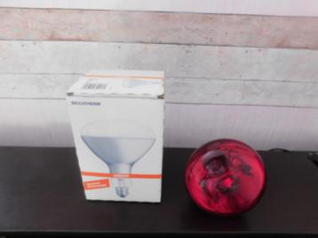 OSRAM verwarmingslamp voor kuikens - 150w - rood -  beschikbaar voor biedingen