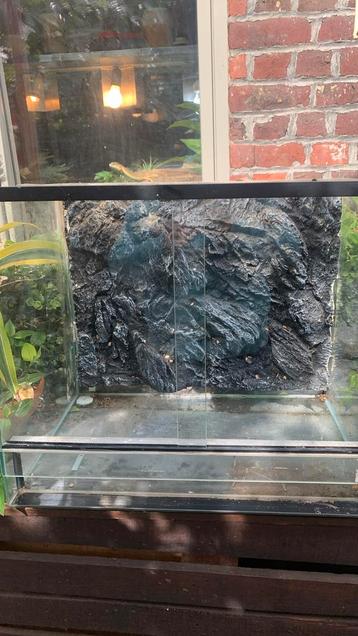 Terrarium beschikbaar voor biedingen