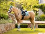 LeMieux Loire dressuur dekje Aqua full SALE -30%!, Dieren en Toebehoren, Paarden en Pony's | Dekens en Dekjes, Ophalen of Verzenden