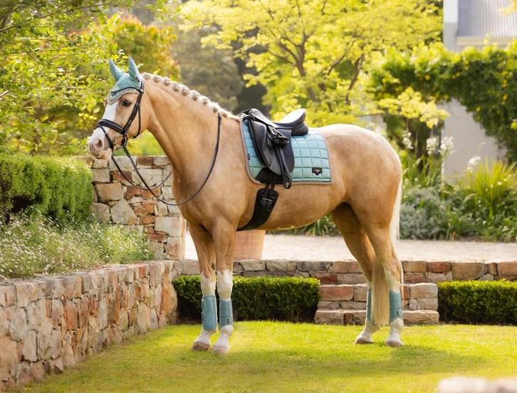 LeMieux Loire dressuur dekje Aqua full SALE -30%!, Dieren en Toebehoren, Paarden en Pony's | Dekens en Dekjes, Nieuw, Dekje, Ophalen of Verzenden