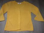 Dikke meisjes gilet. Maat 140, Enlèvement ou Envoi, Comme neuf, Fille, Pull ou Veste