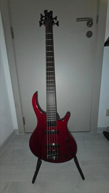 5-snarige bas van Toby by Tobias (epiphone) beschikbaar voor biedingen