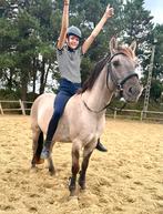 Toffe D pony, Dieren en Toebehoren, Ruin