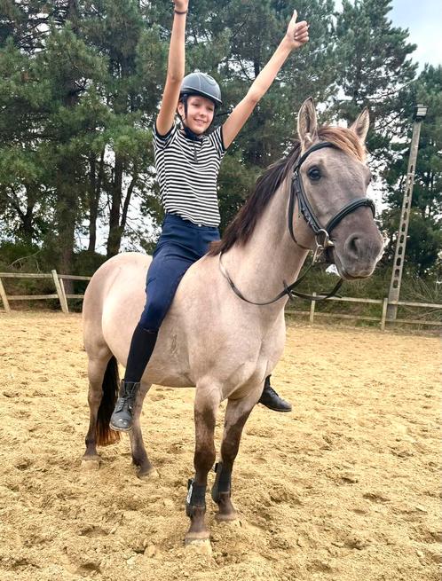 Toffe D pony, Dieren en Toebehoren, Pony's, Ruin