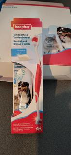 Dental care set Beaphar, Animaux & Accessoires, Nourriture pour Animaux, Enlèvement, Chien