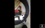loopwiel voor katten - kattenloopwiel ''one fast cat'' 5e ge