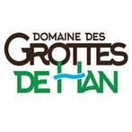 4 passen voor HET DOMEIN VAN DE GROTTEN VAN HAN, Tickets en Kaartjes, Drie personen of meer, Ticket of Toegangskaart