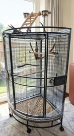Vogelkooi bijna als nieuw, Dieren en Toebehoren, Vogels | Hokken en Kooien, Ophalen of Verzenden, Zo goed als nieuw, Metaal, Vogelkooi