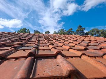 30m² Pottelberg Courtrai dakpannen  beschikbaar voor biedingen