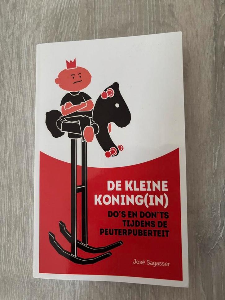 José Sagasser - De kleine koning(in), Boeken, Zwangerschap en Opvoeding, Zo goed als nieuw, Ophalen of Verzenden