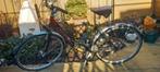 damesfiets STANFORD, Autres marques, Vitesses, Enlèvement, Utilisé
