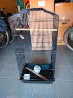 Vogelkooi, Dieren en Toebehoren, Vogels | Hokken en Kooien, Ophalen, Zo goed als nieuw