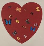 Print d’apres Damien Hirst. Édition limitée, Enlèvement ou Envoi