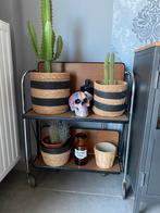 Magnifique déserte vintage, Enlèvement, Utilisé